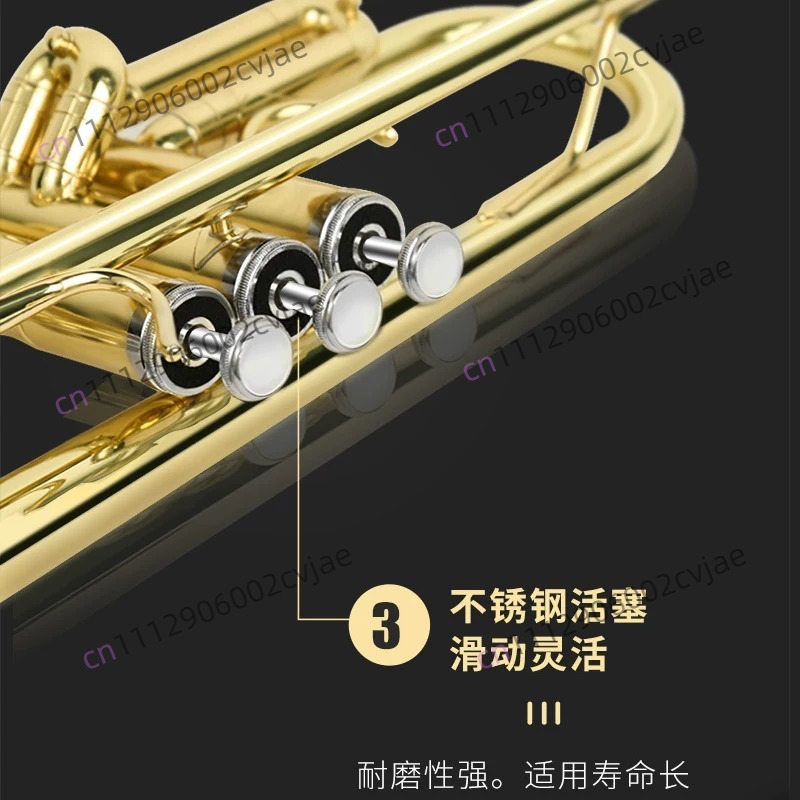 เหมาะสำหรับเครื่องดนตรีทรัมเป็ - Musical Instrument Trumpet บทวิจารณ์และราคา